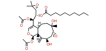 Protoxenicin A